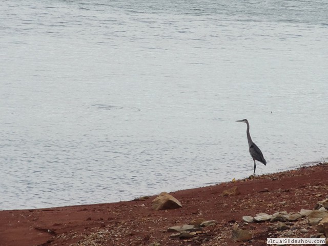 crane.310